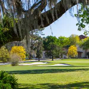 Temple Terrace GCC: #18