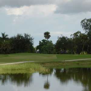 Hibiscus GC: #8