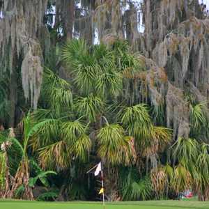 Seven Springs CC: putting green