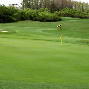 Eastwood GC: #12