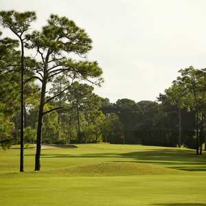 Palmetto-Pine CC