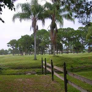 Island Pines GC