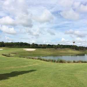Mangrove at The Villages Executive Golf Trail