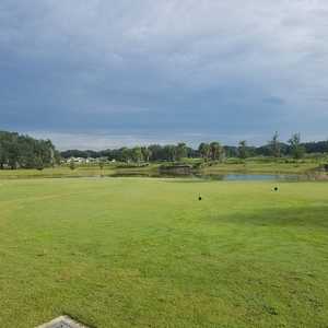 Sweetgum at The Villages Executive Golf Trail