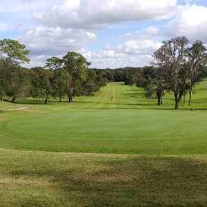 Mount Dora GC: #16