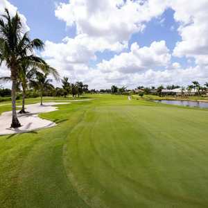 Hibiscus GC