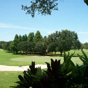Dunedin CC
