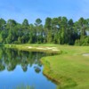 View of a green at Amelia National Golf and Country Club