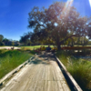 A view from a bridge at Carrollwood Country Club.