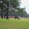 A view from St. Joseph Bay Golf Club.