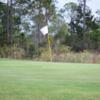 A view of a hole at St. Joseph Bay Golf Club.