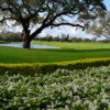 A view from Grande Oaks Golf Club.