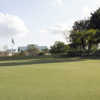 A view of the 1st green at Miami Springs Golf & Country Club.