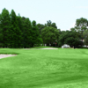 A view of the 11th green at Silverthorn Country Club.