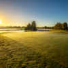 View from a green at Kissimmee Bay Country Club.