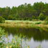 View of a green at Origins Golf Club.