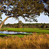 Nicklaus Course at Bay Point Resort: View from #1