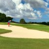 A view of a green surrounded by bunkers at Miccosukee Golf & Country Club.