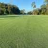 A view from Blue Cypress Golf Club.