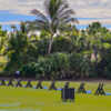 View of the driving range at The Plantation Golf and Country Club.