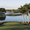 View of the 7th tee from Silver Fox Course at Trump National Doral Miami