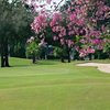 A spring view of the 9th green at South at Vineyards of Naples - South Course