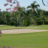 A view of hole #18 at South at Vineyards of Naples - South Course