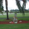A view from Hollybrook Golf & Tennis Club
