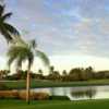 A view of the 15th hole at The Falls Club of the Palm Beaches