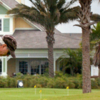 A view of the practice putting green at Cane Garden Country Club