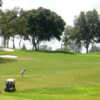 A view of a fairway at Truman at The Villages Executive Golf Trail.
