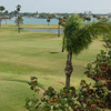A view of a green at Treasure Bay Golf & Tennis