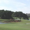 A view of a green from the Executive at Boca Raton Golf Course