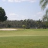 A view from Cypress Lakes Homeowners Golf Course (Palm Beach Sports)