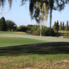 A view of a hole with water in background from The Club at Eaglebrooke