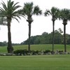 Palma Ceia GCC