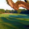 A view of a hole at World Woods Golf Club.