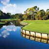A view of the 3rd green at Innisbrook Resort & Golf Club - North Course