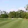 A view from the Black Course at Tiburon Golf Club