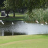 A view from Tatum Ridge Golf Links