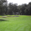 A view of a green surrounded by bunkers at Country Club of Sebring