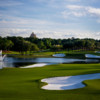 View from Tranquilo Golf Club at Four Seasons Resort Orlando