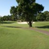 A sunny day view of a hole at Dunedin Golf Club