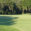 A sunny day view of a green from Palatka Golf Club