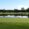 A view of the 14th green at Miami Beach Golf Club