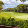 A view of a green from Long Point at Amelia Island Club