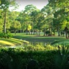 View from a tee at Palmetto-Pine Country Club