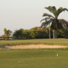 View of a green and bunker at Cove Cay Golf Club