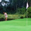 A view of a hole at LPGA International