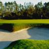 A view of a hole at Carrollwood Country Club.